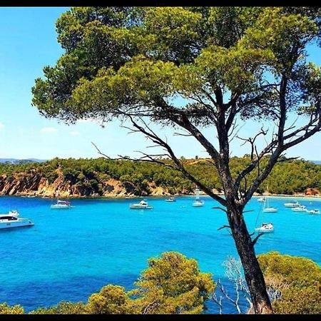 Appartement Pieds Dans L'Eau Vue Mer Bormes Les Mimosas Dış mekan fotoğraf