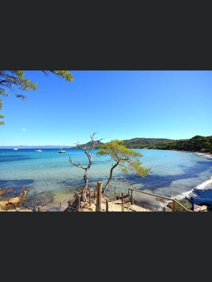 Appartement Pieds Dans L'Eau Vue Mer Bormes Les Mimosas Dış mekan fotoğraf